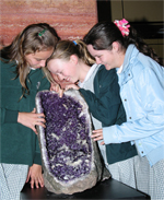 Students Studying Amethyst Small